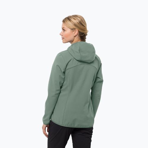 Jachetă softshell pentru femei Jack Wolfskin Bornberg Hoody verde 1307691