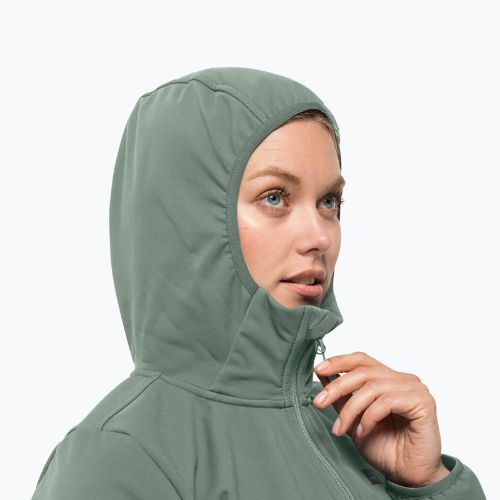 Jachetă softshell pentru femei Jack Wolfskin Bornberg Hoody verde 1307691