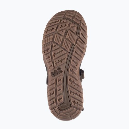 Sandale de trekking pentru bărbați Jack Wolfskin Lakewood Cruise maro 4019011