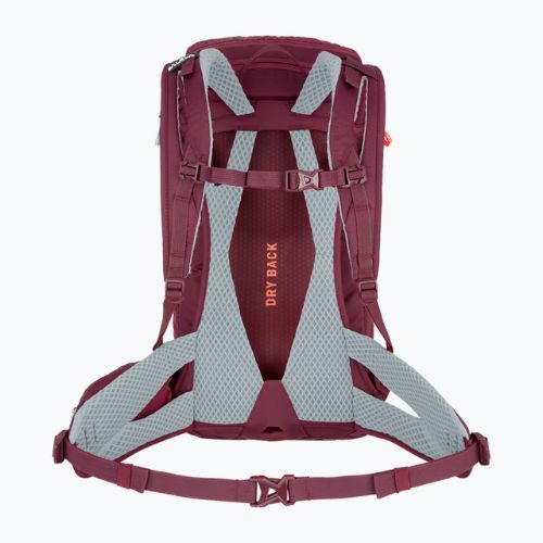 Rucsac de trekking pentru femei Salewa Alp Trainer 20 mov 00-0000001262