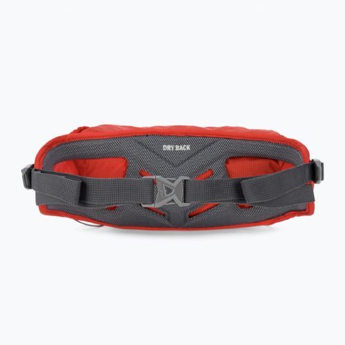 Salewa Lite Train Hipbelt centura de rinichi sacou roșu 00-0000001269