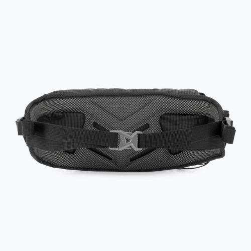 Salewa Lite Train Hipbelt centura de șolduri pentru rinichi sachet negru 00-0000001269