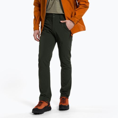 Pantaloni de trekking pentru bărbați Salewa Talveno 2 DST verde 00-0000027804