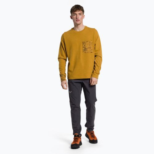 Pulover de trekking pentru bărbați Salewa Lavaredo Hemp Pullover maro 00-0000028547