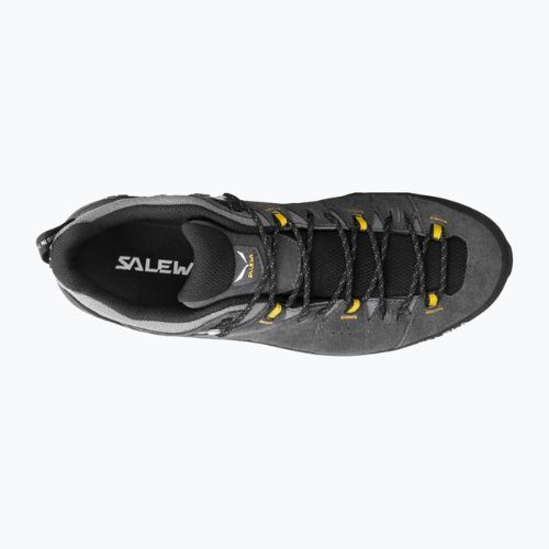 Cizme de trekking pentru bărbați Salewa Alp Trainer 2 GTX gri 00-0000061400