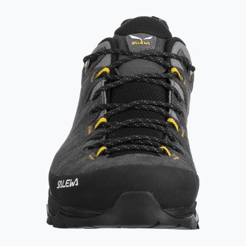 Cizme de trekking pentru bărbați Salewa Alp Trainer 2 GTX gri 00-0000061400