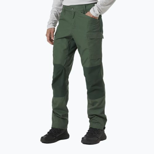 Pantaloni de trekking pentru bărbați Helly Hansen Vandre Tur verde 62698_476