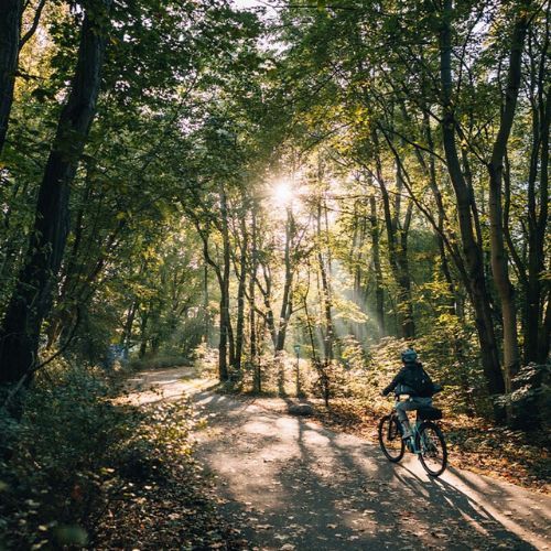 Kellys Cristy 40 biciclete de trekking pentru femei violet 72344