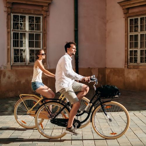 Kellys Royal Dutch 460 biciclete de oraș negru 72362