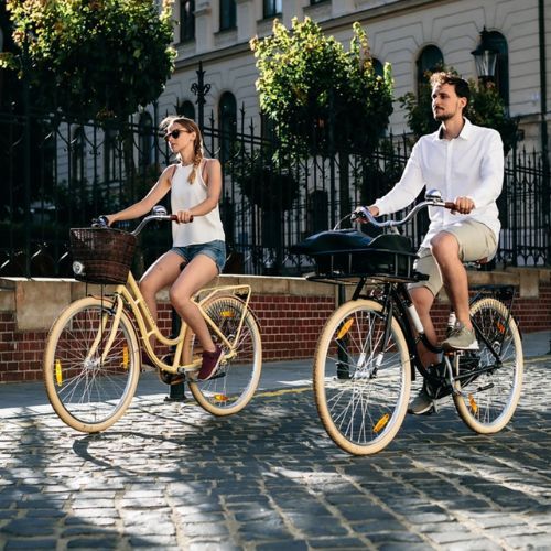 Kellys Royal Dutch 460 biciclete de oraș negru 72362