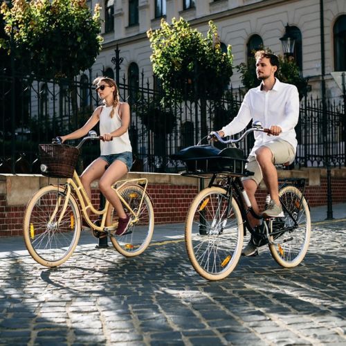 Kellys Royal Dutch 460 biciclete de oraș albastru 72363