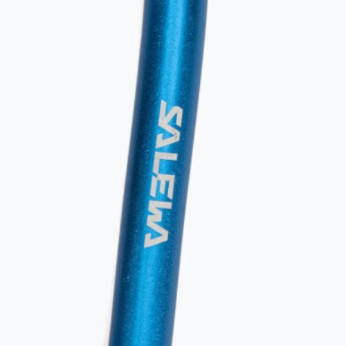 Salewa D-Shape Carbiner cu șurub albastru 00-0000034102