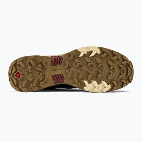 Cizme de trekking pentru bărbați Salomon X Ultra 4 GTX maro L47352700