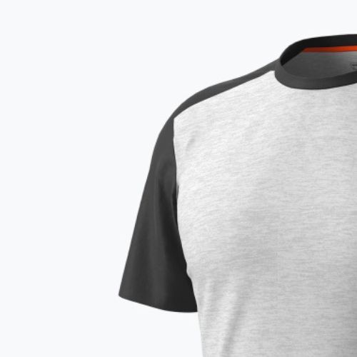 Tricou pentru bărbați DYNAFIT Transalper Tricou de drumeție gri deschis 08-0000071298