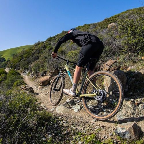 Marin Bobcat Trail 4 29 biciclete de munte maro A-1468G-G2-17