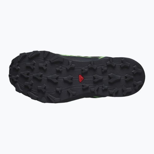 Pantofi de alergare pentru bărbați Salomon Thundercross GTX negru/gecko verde/negru