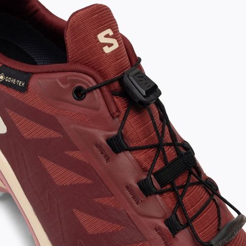 Pantofi de alergare pentru femei Salomon Supercross 4 GTX piele de vacă/syrah/blush