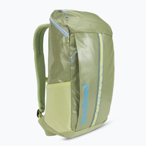 Patagonia rucsac de drumeție Black Hole Pack 25 l prieten verde