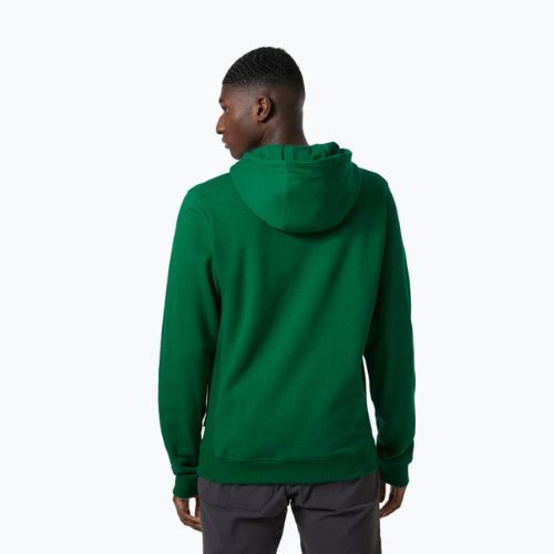 Tricou de trekking pentru bărbați Helly Hansen F2F F2F Hoodie din bumbac organic malachite