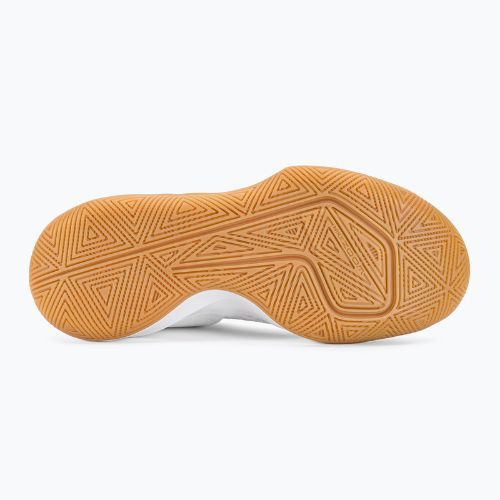 Pantofi de volei Nike Zoom Hyperspeed Court SE alb/argintiu metalic din cauciuc