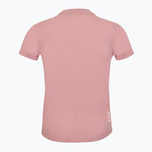 Tricou de trekking pentru copii Salewa Graphic Dry zephyr
