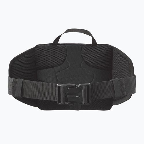 Borsetă Salomon Trailblazer 4 l black/alloy