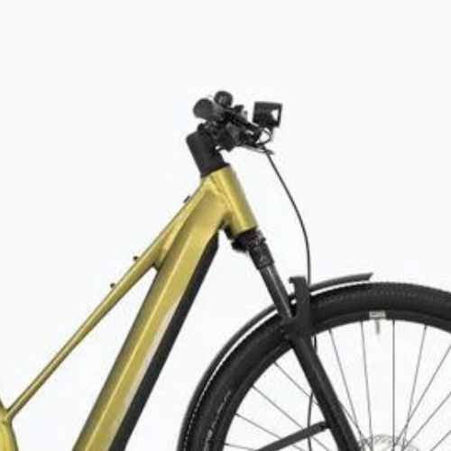 Bicicletă electrică Superior eXR 6090 L Touring 36V 504Wh matte olive metallic/chrome silver