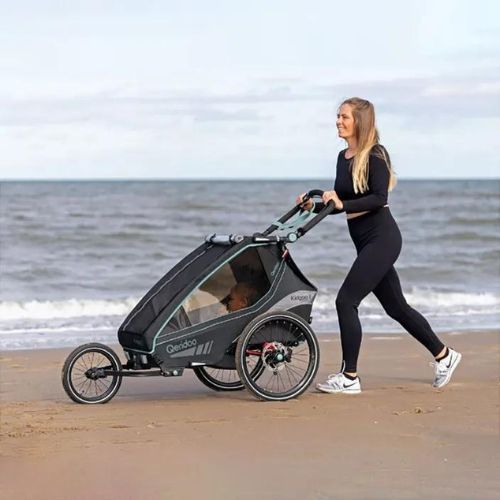Remorcă de bicicletă Qeridoo Kidgoo 2 dark navy/blue