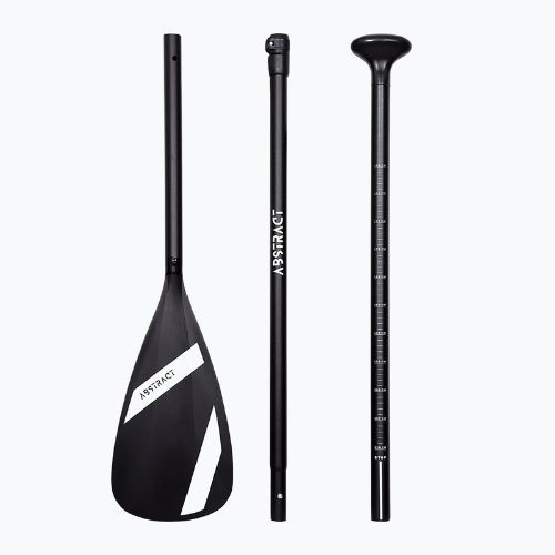ABSTRACT Palma 10'0''' placă SUP rubby