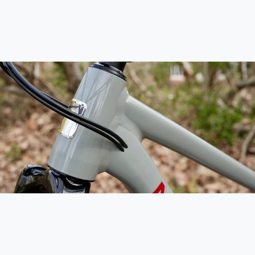 Bicicletă de munte Marin Rift Zone 2 29 gloss grey/red