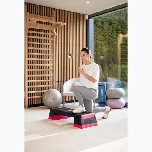 XTREXO aerobic stepper TXO-B4W007 roz