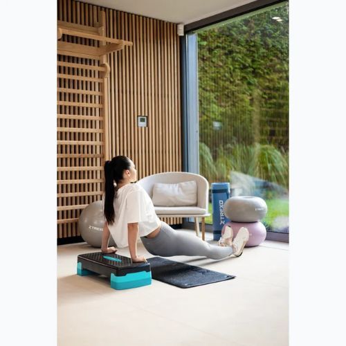 XTREXO aerobic stepper TXO-B4W008 albastru