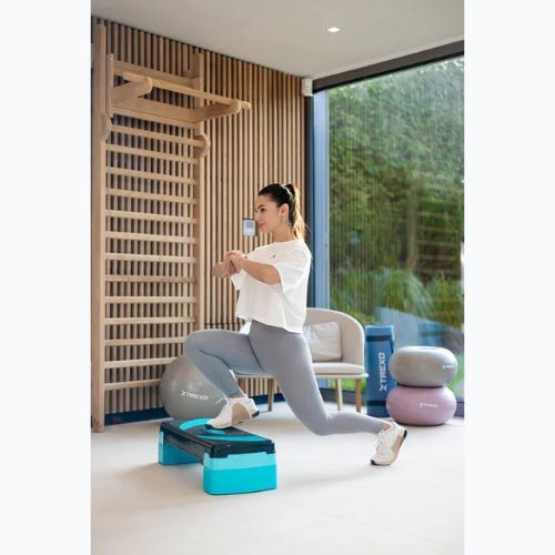 XTREXO aerobic stepper TXO-B4W009 albastru