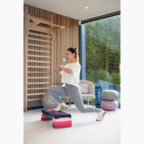 XTREXO aerobic stepper TXO-B4W009 roz