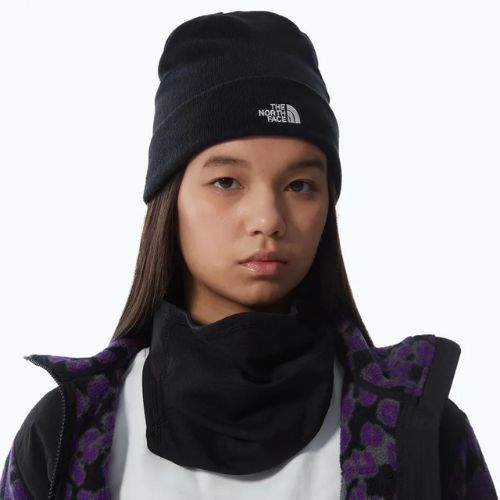 Căciulă de trekking pentru bărbaț The North Face Norm Beanie black