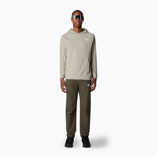 Hanorac pentru bărbați The North Face 100 Glacier Hoodie clay grey