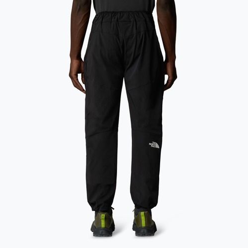 Pantaloni de trekking pentru bărbați The North Face Alpine Ridge Regular Tapered black/npf