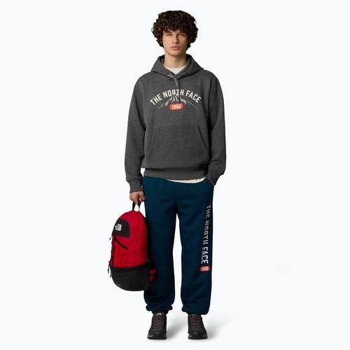 Tricou pentru bărbați The North Face Varsity Graphic medium grey heather