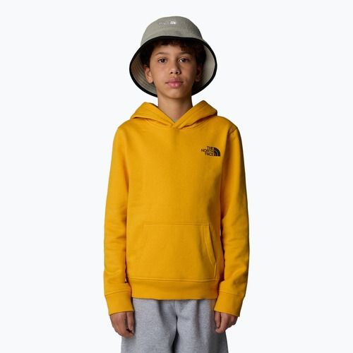 Bluză pentru copii The North Face Teen Redbox Regular P/O summit gold
