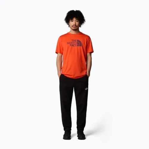 Tricou pentru bărbați The North Face Easy crimson orange/alpine plum