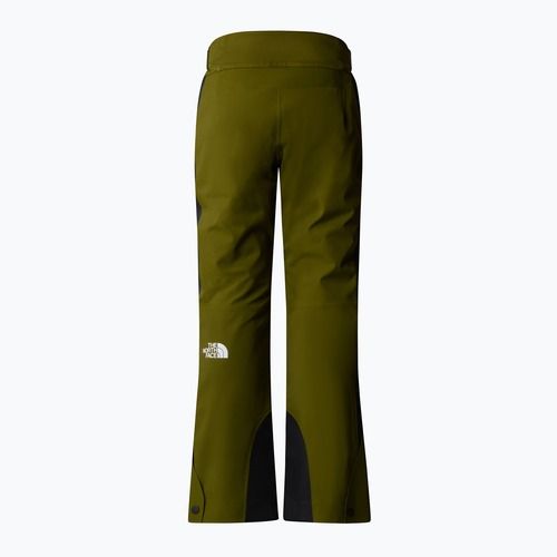 Pantaloni de schi pentru femei  The North Face Lenado Short forest olive/black