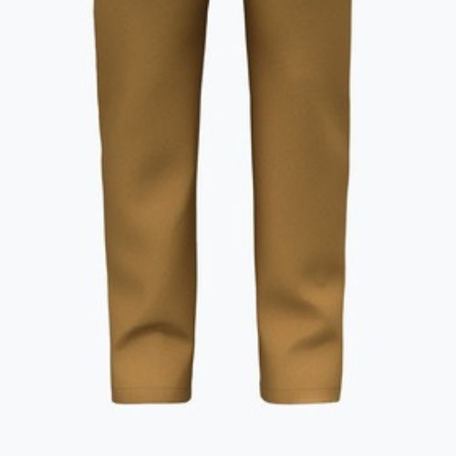Pantaloni de trekking pentru bărbați Salewa Fanes Hemp golden brown