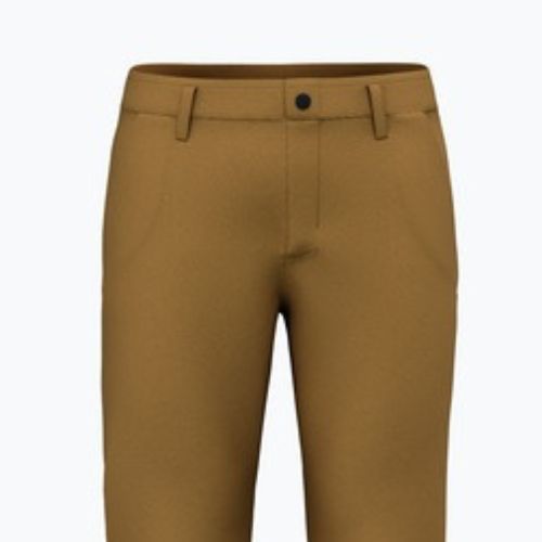 Pantaloni de trekking pentru bărbați Salewa Fanes Hemp golden brown