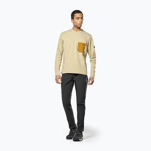 Bluza bărbați Salewa Fanes Dry Pullover quicksand