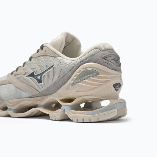Mizuno Wave Prophecy LS nimbus cloud/magnet/silver cloud pantofi