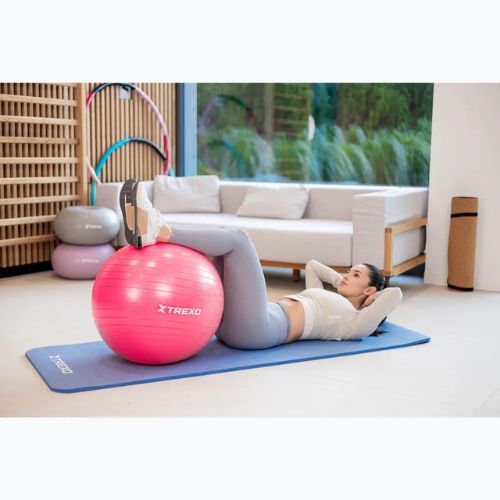 Minge de gimnastică TREXO TXO-B4Z007-PK 55 cm roz