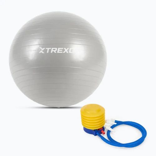 Minge de gimnastică TREXO TXO-B4Z007-GY 55 cm gri