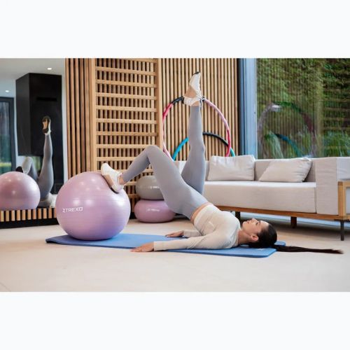 Minge de gimnastică XTREXO TXO-B4Z008-VT 65 cm violet