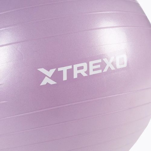 Minge de gimnastică TREXO TXO-B4Z008-VT 65 cm violet