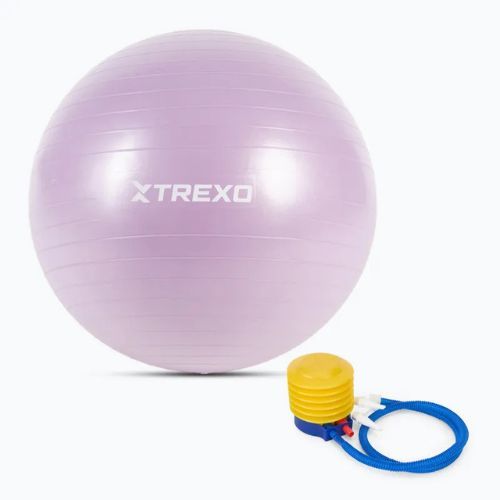 Minge de gimnastică TREXO TXO-B4Z008-VT 65 cm violet